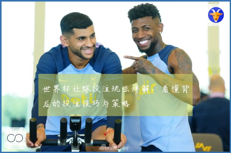世界杯让球投注玩法详解，看懂背后的投注技巧与策略