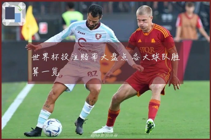 世界杯投注赔率大盘点 各大球队胜算一览